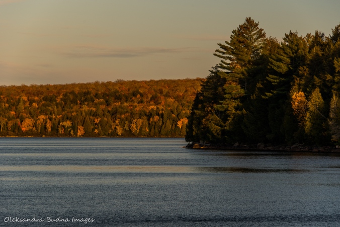 Lake Louisa in Algonquin in the fall