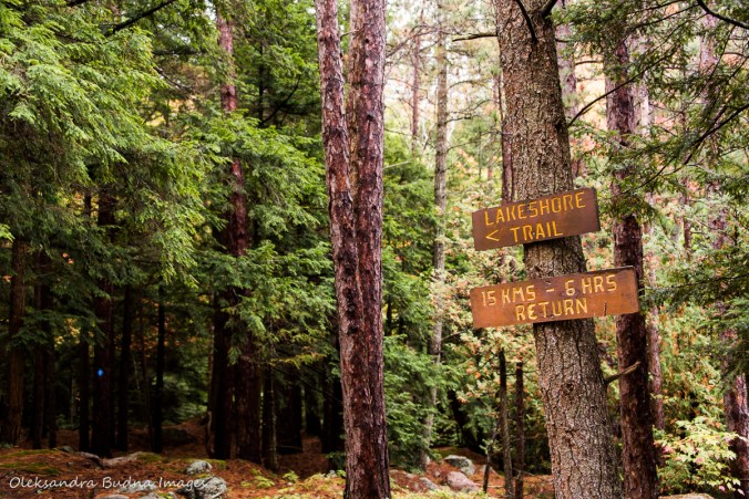 sign for Lakeshore trail at Silent Lake Provincial Park