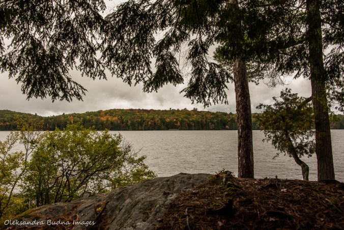 view of Silent Lake along Lakshore trail