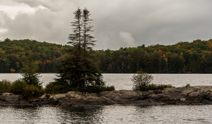 island at Silent Lake: view from Lakeshore Trail