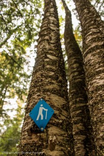 trail marker on Lakeshore Trail at Silent Lake