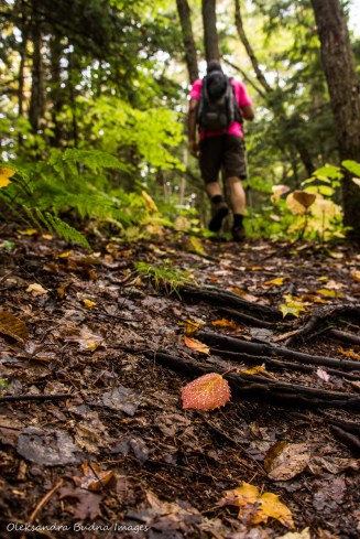 hiking Lakeshore Trail at Silent Lake