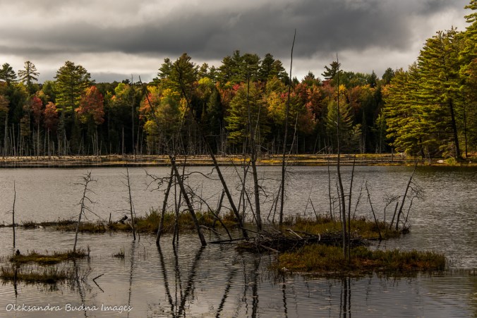 Silent Lake in the fall