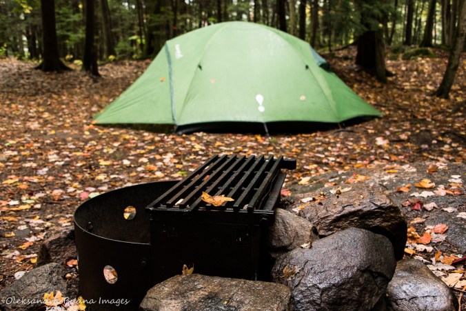 walk-in site 82 at Silent Lake Provincial Park 