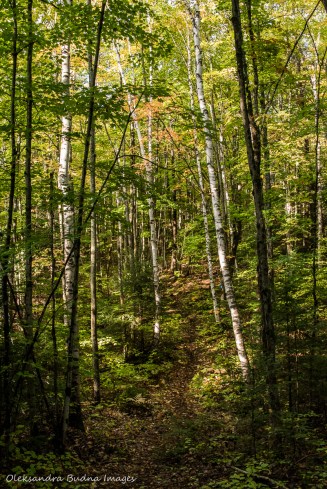 hiking Lakeshore Trail at Silent Lake