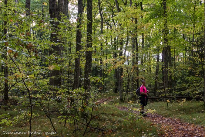 hiking Lakeshore Trail at Silent Lake