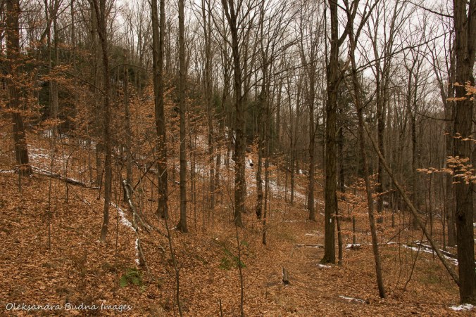 Forks of the Credit provincial park