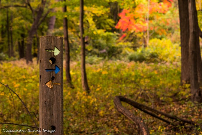 trail marker at Ojibway part in Windsor