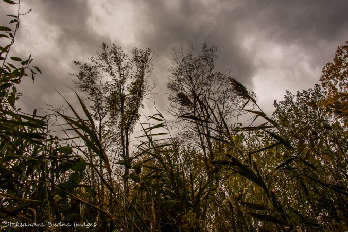 Ojibway Park in Windsor