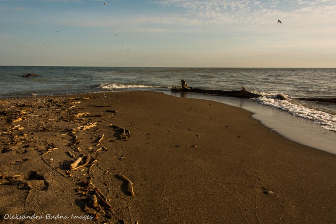 the tip at Point Pelee National Park