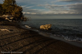 at the tip at Point Pelee National Park