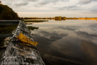 observation point at Point Pelee National Park
