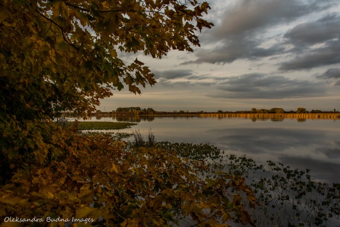 observation point at Point Pelee National Park