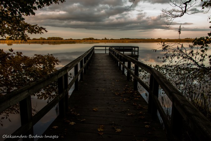 observation point at Point Pelee National Park