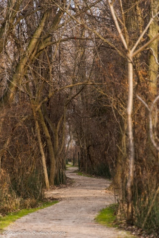 trail at Point Pelee National Park