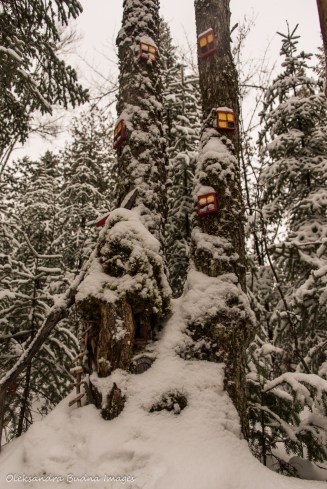 installation at Les Toits du Monde