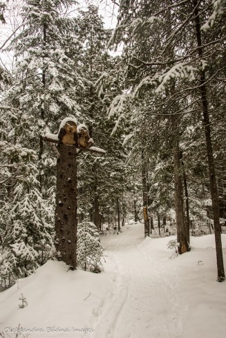 carved owls at Les Toits du Monde