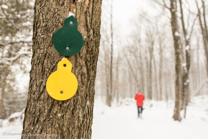 trail markers at rattlesnake point