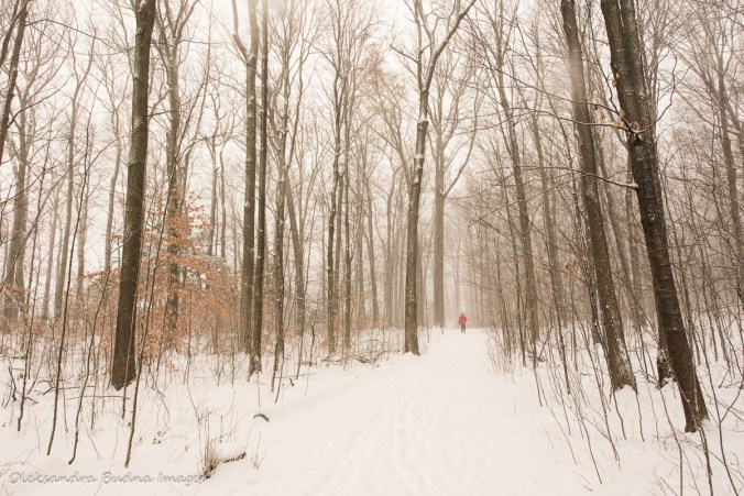 hiking at Rattlesnake Point
