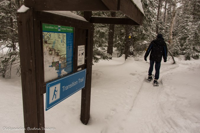 Transition trail at Windy Lake Provincial Park