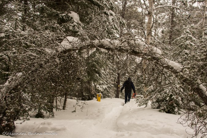 snowshoeing at Windy Lake provincial park