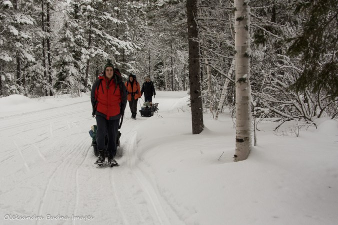 pulling sleds at Windy Lake Provincial Park