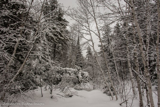 Windy Lake provincial park in the winter