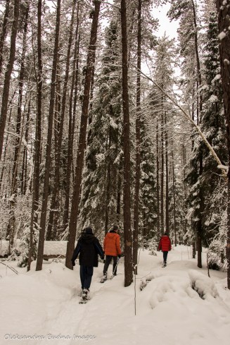 snowshoeing at Windy Lake provincial park