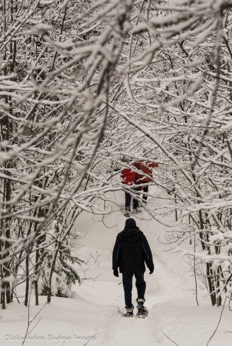 snowshoeing at Windy Lake provincial park