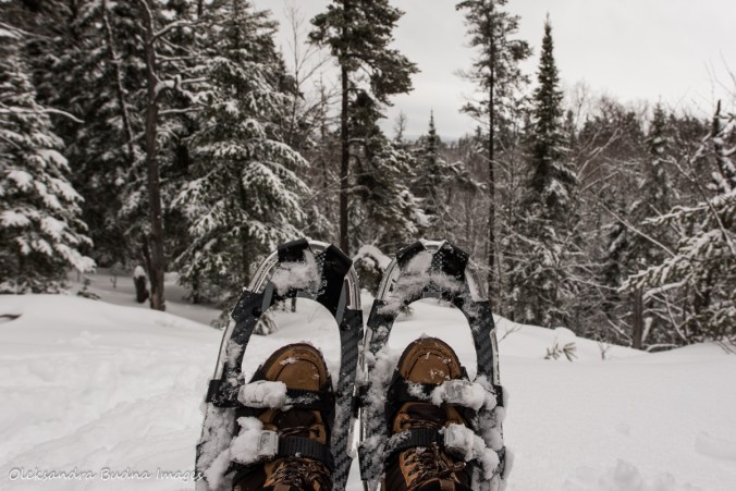 snowshoeing at Windy Lake provincial park