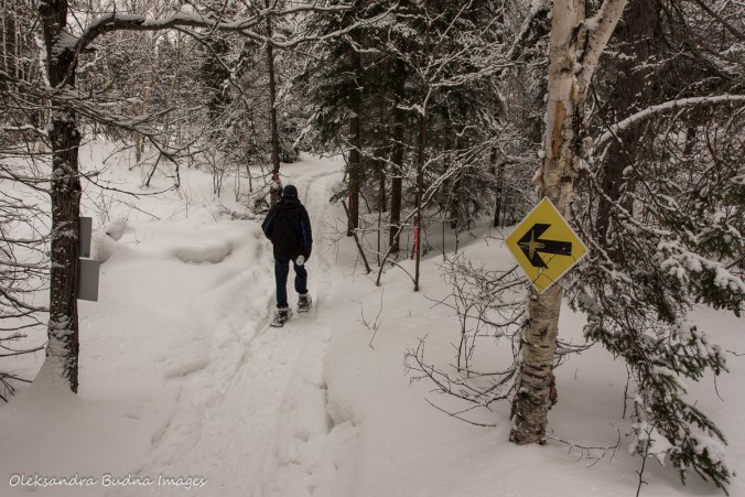 snowshoeing at Windy Lake provincial park