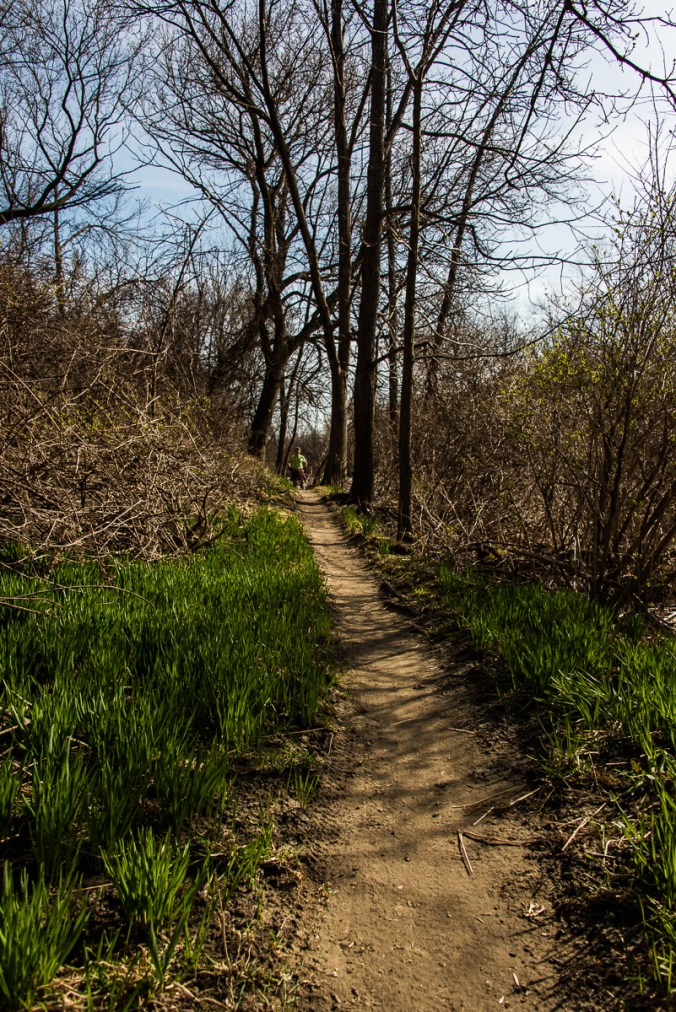 trail along etobicoke creek