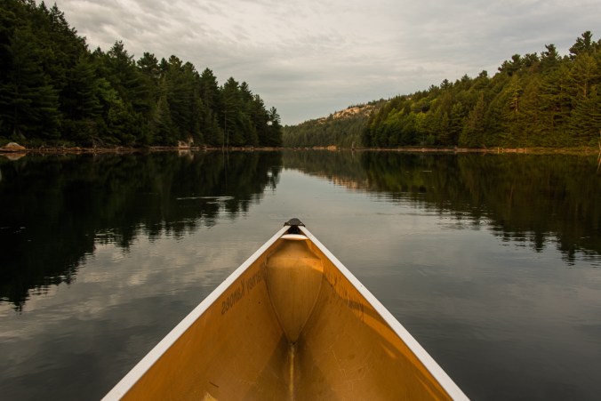 morning paddle on Ruth-Roy Lake in KiIllarney
