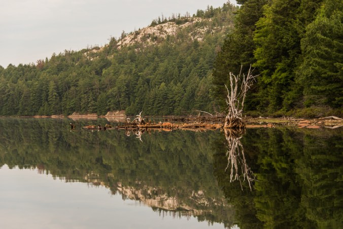 morning on Ruth-Roy Lake in Killarney