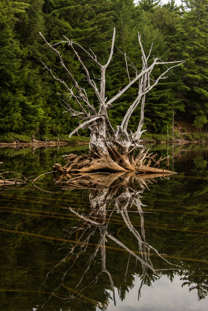 reflections on Ruth-Roy Lake in Killarney