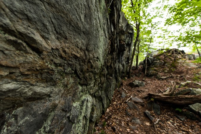 trail to Silver Peak in Killarney