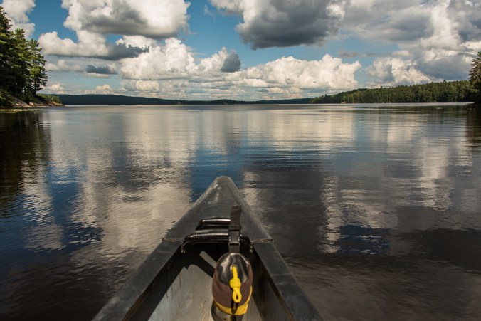 paddling on North Tea Lake in Algonquin