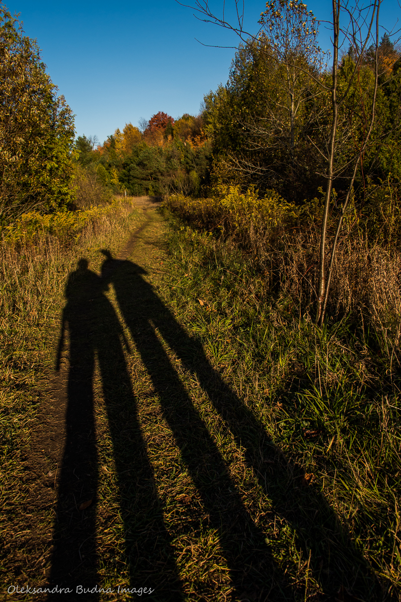 Hiking at Hockley Valley