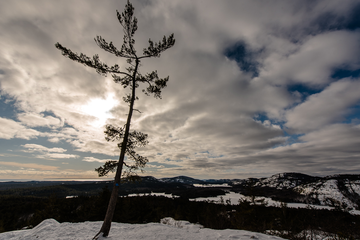 view from the Crack in the winter