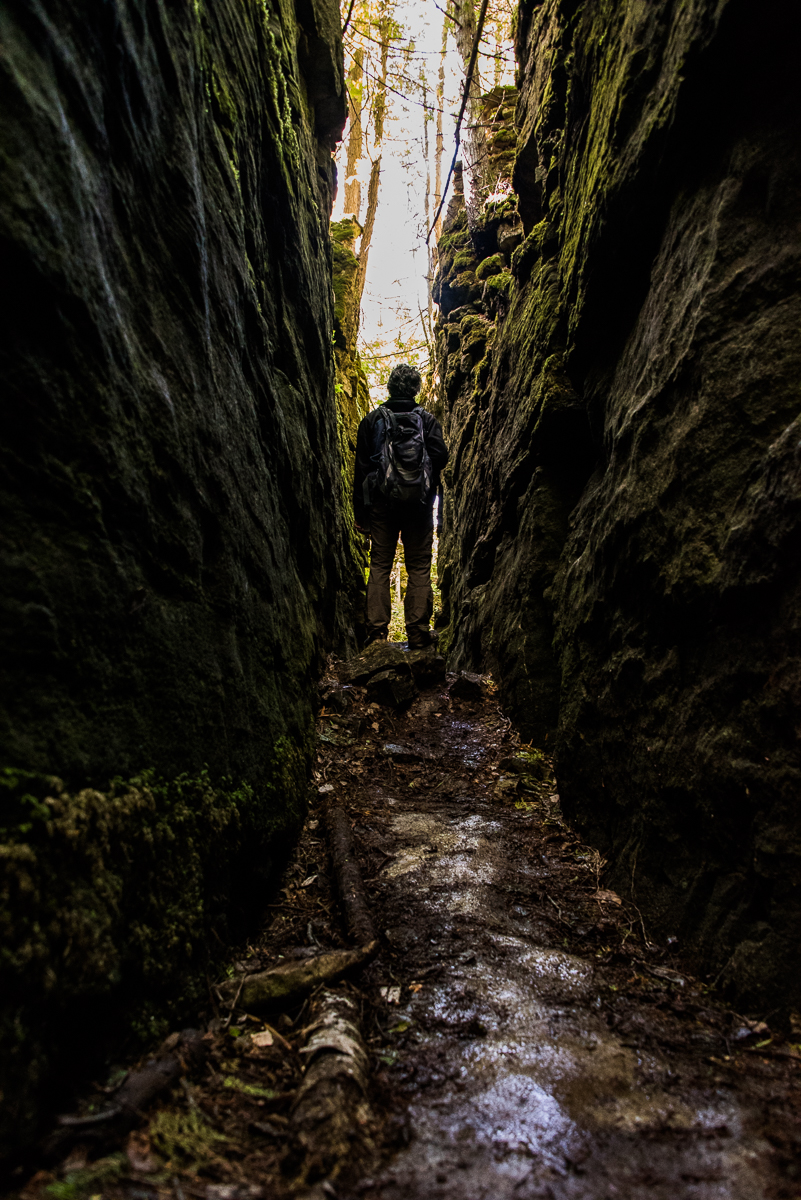 Hiking at Nottawasaga Bluffs