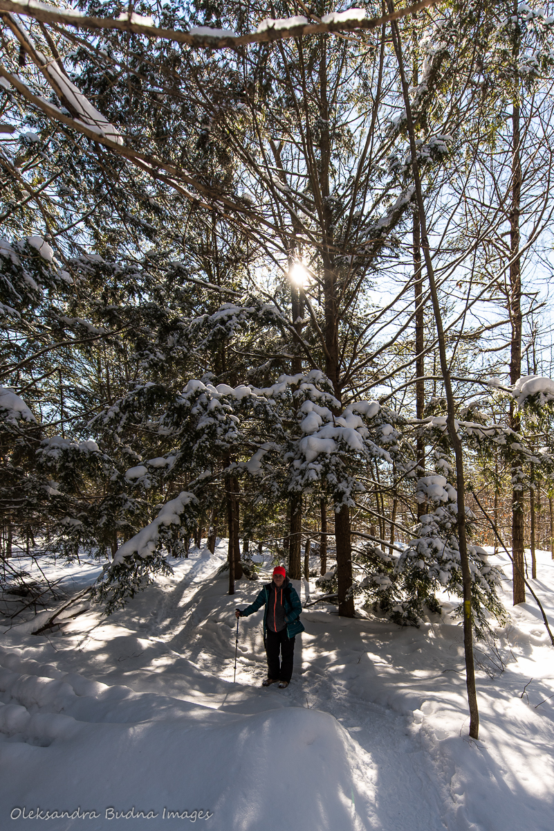 hiking at McCrae lake