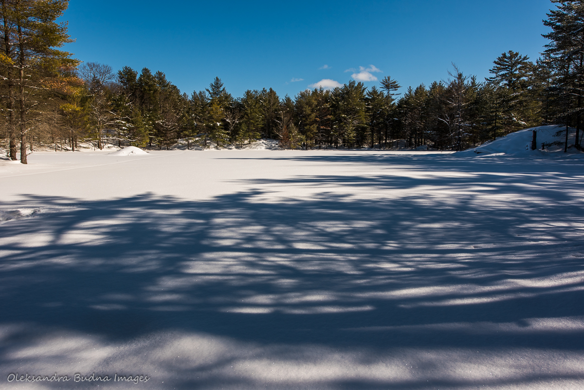 views along McCrae Lake trail