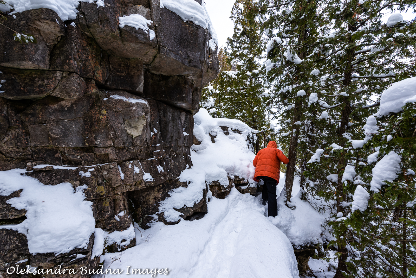 Bruce Peninsula National Park in the winter