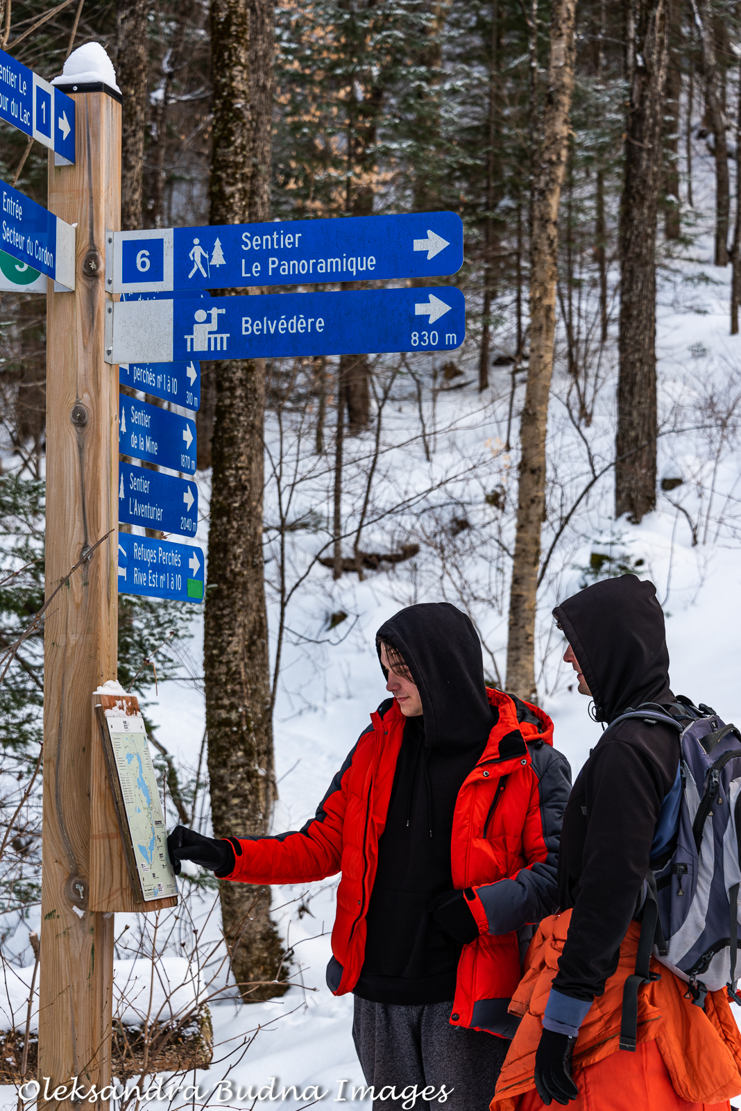Hiking at Les Refuges Perchés in Quebec