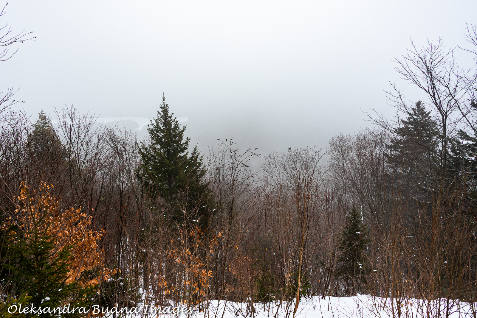 L'Aventurier trail at Les Refuges Perchés in Quebec