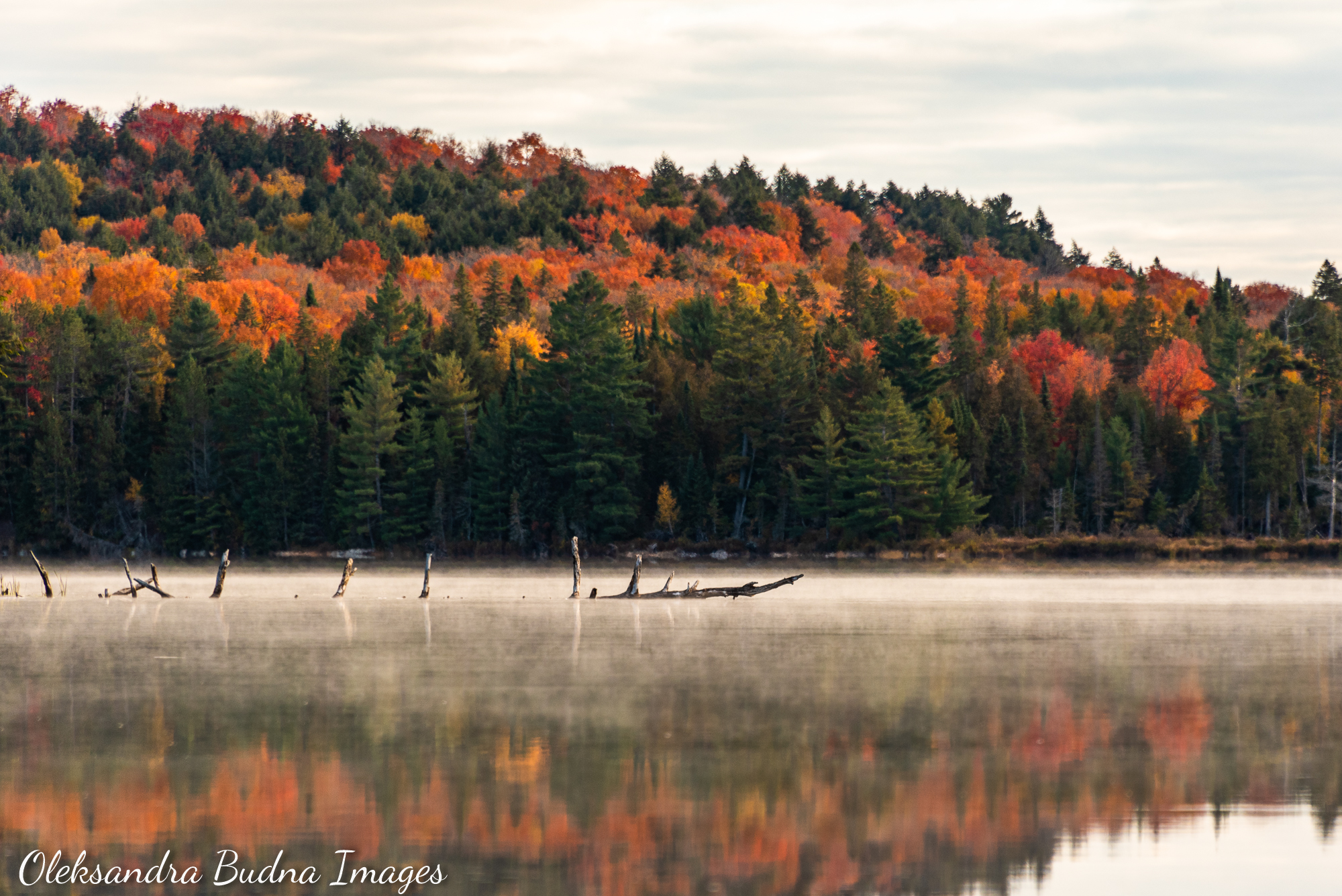 Canisbay Lake in Algonquin in the fall
