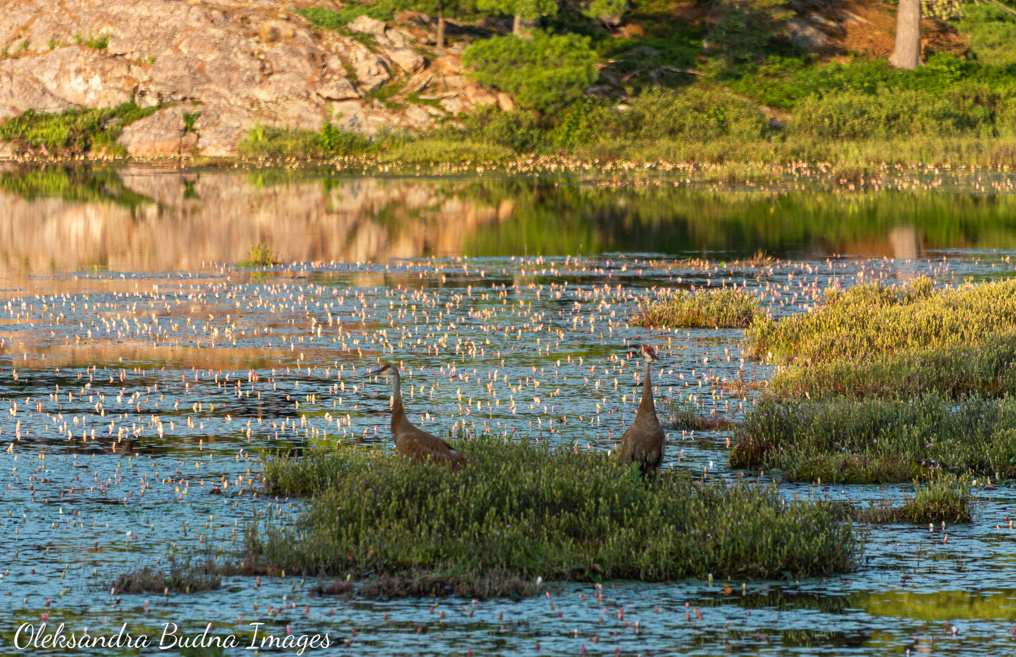 La Cloche Silhouette Trail in Killarney