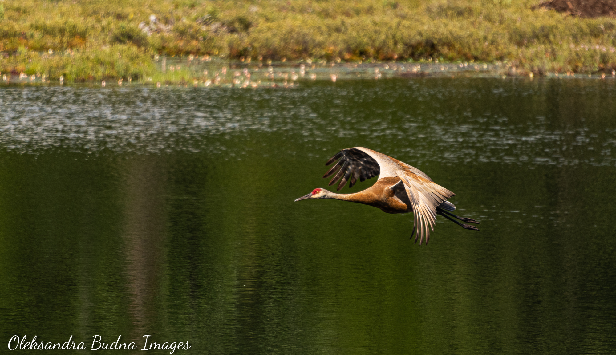 La Cloche Silhouette Trail in Killarney