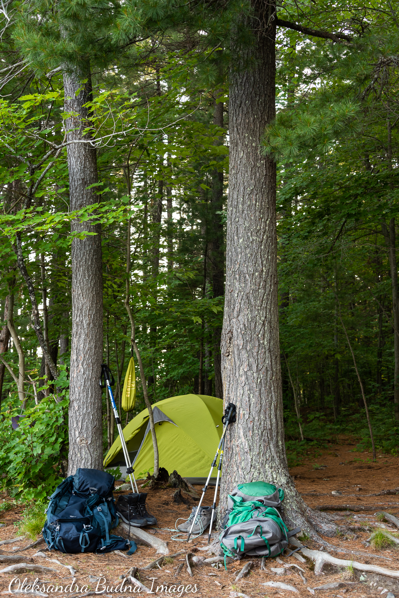 La Cloche Silhouette Trail in Killarney