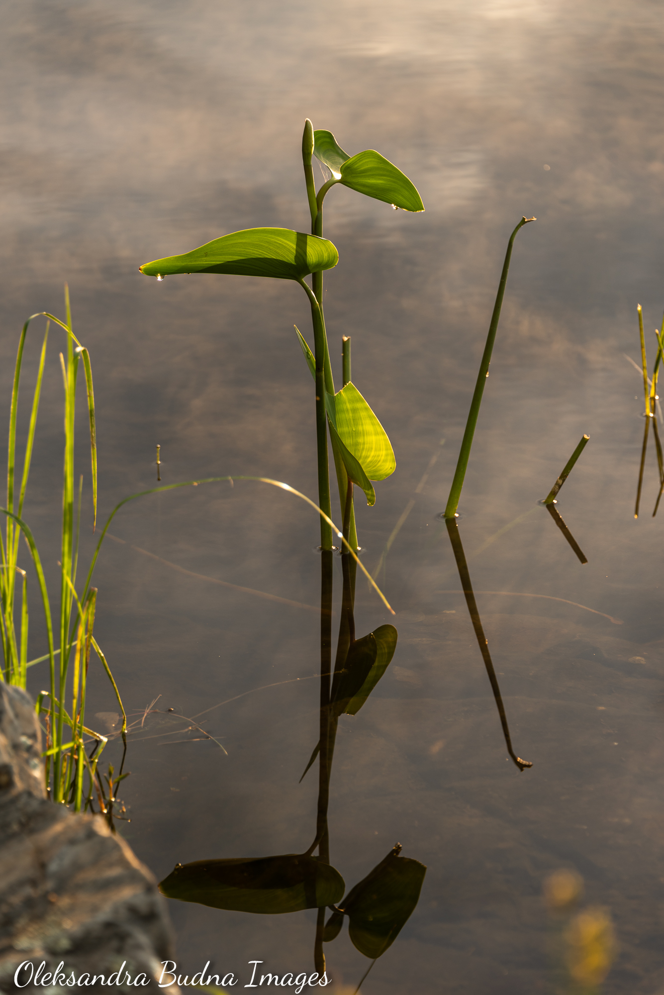 La Cloche Silhouette Trail in Killarney